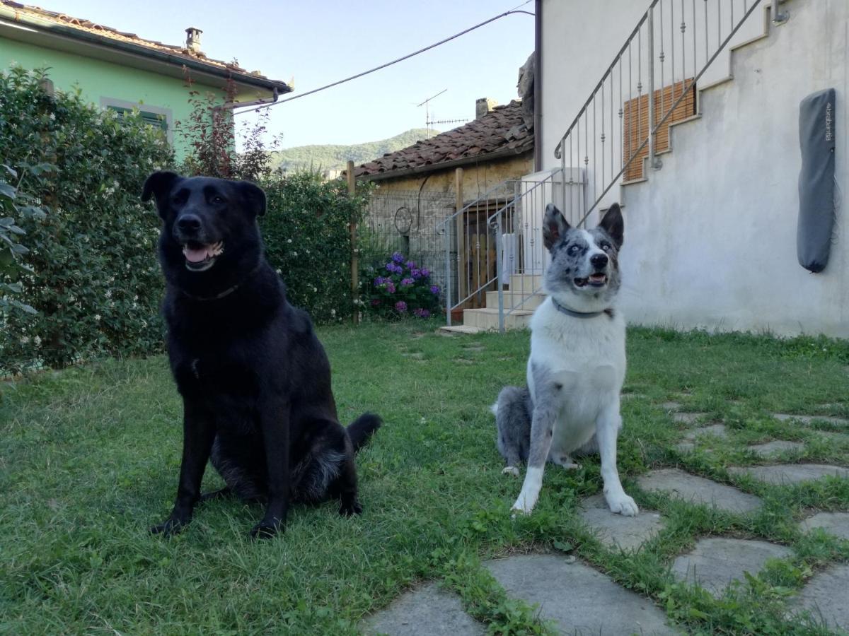 Coreglia Antelminelli B & B Via Di Mezzo المظهر الخارجي الصورة
